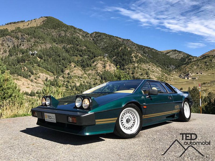 LOTUS ESPRIT S2 TURBO coupé Vert occasion - 75 000 € - 800 km - vente