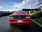 FORD MUSTANG VI (2015 - 2022) GT 421 ch BLACK SHADOW EDITION coupé occasion - 42 900 €, 83 847 km