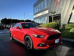 FORD MUSTANG VI (2015 - 2022) GT 421 ch BLACK SHADOW EDITION coupé occasion - 42 900 €, 83 847 km