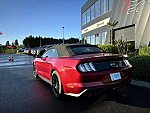 FORD MUSTANG VI (2015 - 2022) GT 450 ch MAGNERIDE cabriolet occasion - 53 900 €, 54 519 km